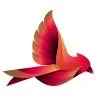 Cardinal Physical Therapy logo