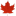 CDN STBBI Guidelines logo
