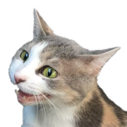Chewbotcca logo