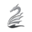 DRAGON: Special Ed logo