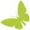DV Flora Dutch Direct Shop logo