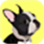 EveryDoggy - Dog Training App logo