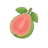Goiabada logo