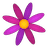 Menstrual Period Tracker logo