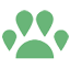 MorePaws logo