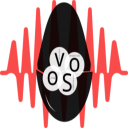 Open Voice OS STT (Docker) logo