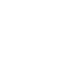 Papeer logo