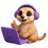 Peekaping logo