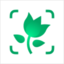 PictureThis - Plant Identifier logo