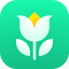 Plant Parent: Plant Care Guide logo