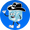 PlungePalz: Cold Plunge Sauna logo