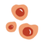 Pomelli logo