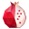 Raphtory logo
