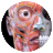 Skeleton 3D Anatomy logo