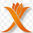 Xadi: AI Accounting logo